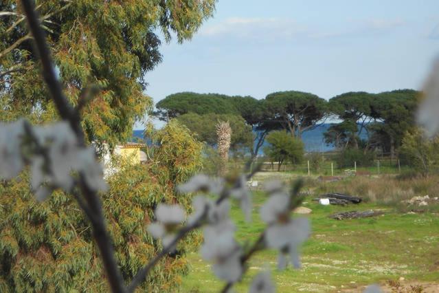 Trilo 350M Dalla Spiaggia Vista Mare Budoniaffitti Villa Esterno foto