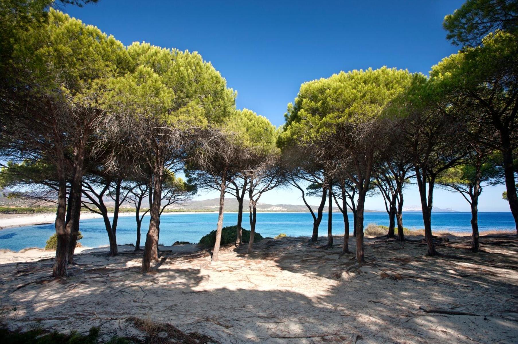 Trilo 350M Dalla Spiaggia Vista Mare Budoniaffitti Villa Esterno foto